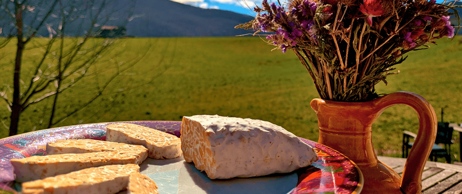 Le Tempeh frais et artisanal des Hautes-Pyrénées